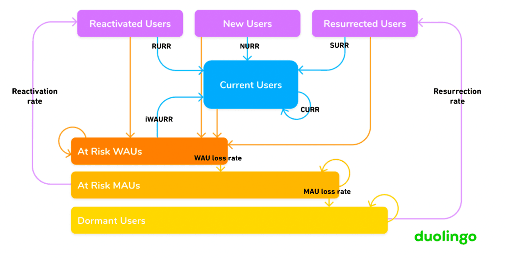 Duolingo Growth Model